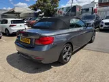 2018 BMW 2 Series thumbnail 11