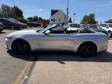 2018 Ford Mustang thumbnail 18