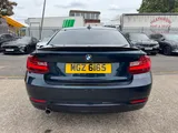 2017 BMW 2 Series thumbnail 10