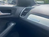 2016 Audi SQ5 thumbnail 18