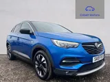 2019 Vauxhall Grandland X thumbnail 1