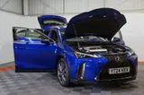 2024 Lexus UX thumbnail 14