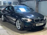 2015 BMW 2 Series thumbnail 10
