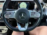 2019 Mercedes-Benz A-Class thumbnail 43