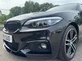 2019 BMW 2 Series thumbnail 48