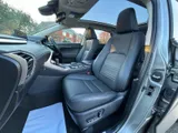 2020 Lexus NX thumbnail 6