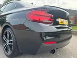 2019 BMW 2 Series thumbnail 50