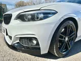 2017 BMW 2 Series thumbnail 40