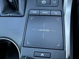 2020 Lexus NX thumbnail 18