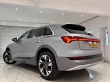 2019 Audi e-tron thumbnail 5