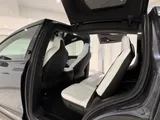 2019 Tesla Model X thumbnail 14