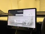 2019 Tesla Model 3 thumbnail 15