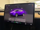2022 Tesla Model Y thumbnail 20